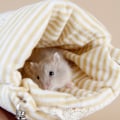 Miniatyrbillede 3 af 6: ##/3 Hamster Rede Hamster Soveposer##/