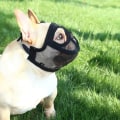 Miniatyrbillede 5 af 5: Kort snude hund katteøjenmaske (sort M), justerbar mesh Bulldog