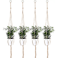 Miniatyrbillede 3 af 5: 4 stk. Hængende Reb - 80 cm til Indendørs og Udendørs Planter og Blomster