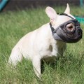 Miniatyrbillede 4 af 4: Kort Hundemundkurv - Justerbar Åndbar Mesh Bulldog Mundkurv til