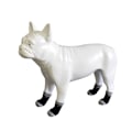 Miniatyrbild 3 av 5: ##/Par par icke-halksockor för hundar och katter - för att skydda husdjurens tassar a##/