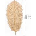 Pikkukuva 3 / 5: ##/24 kpl 25-30 cm (10-12 tuumaa) luonnollisia valkoisia strutsin sulkia ##/