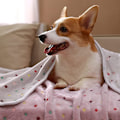Miniatyrbillede 5 af 5: ##/(40*60cm) Super blød plys hund/kat tæppe 3 stk.##/