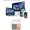 Pikkukuva 5 / 5: Kannettava langaton Bluetooth-kaiutin tukee TF-korttia/Aux Oranssi