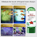 Miniatyrbild 5 av 5: Kraftfull Vattenreningstablett för Akvarium, Aqua Vattenreningstabletter, Vattenreningstabletter för Fiskakvarium 1pc