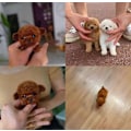 Miniatyrbild 5 av 5: 2025 Ny Robot Hund för Vuxna, AI Robot Hund, Nicoo - Min Realistiska Robotvalp Som Agerar Som en Riktig Valp - Gående, Skällande, Viftande S A