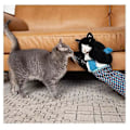 Miniatyrbild 3 av 5: Kattdocka Brottare, Katt Handdockor Mjuka Plyschdockor Gosedjur