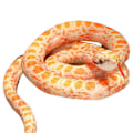Miniatyrbild 1 av 5: Realistisk Orm Plyschleksak 100cm Långt Gosedjur Orm För Barn och Klassrumsbruk Cross spotted python