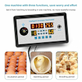 Miniatyrbillede 3 af 5: Termostat Digital Temperatur Fugtighed Automatisk Æggevending Kontrol Inkubator
