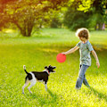Miniatyrbillede 2 af 5: 12 farverige frisbees til børn og hunde - 23 cm - robuste og stabile - fantastiske til udendørs leg og stranden