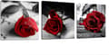 Canvas Väggkonst Röda Rosor Blommor på Grå Böcker Bilder