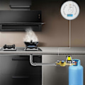 Miniatyrbild 4 av 5: Digital Kolmonoxid Detektor Alarm Batteridriven Varningslarm Sensor LED