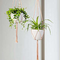 Miniatyrbild 2 av 5: Macrame växt hängare, Macrame hängande kruka inomhus hängande planterare R