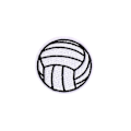 Miniatyrbillede 1 af 4: 20 stk. Volleyball broderede patches strygejern og sy på applikation patches dårligt