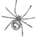 Miniatyrbild 1 av 5: Spindelbrosch Häxa Häxa Smycken Halloween Pin 2st