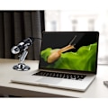 Miniatyrbillede 4 af 5: USB Digital Mikroskop, 0X-1000X Håndholdt Forstørrelses Boreskop, 8