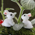 Pikkukuva 4 / 5: Nukkekodin miniatyyri Bonsai-käsityöt Puutarhamaisema 10 kpl Kaneja