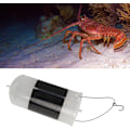 Miniatyrbild 4 av 5: Brine Shrimp Hatchery Kit Stor Kapacitet Brine Shrimp Ägg Inkubator Kläckningskit Brine Shrimp Ägg