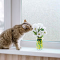 Pikkukuva 2 / 5: Privacy Window Film Frosted Non-Adhesive Static for Bathroom Deco