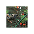 Miniatyrbillede 2 af 5: 4 x 6m Grøn Fuglenet Have Dam Net til Planter Mesh Beskyt
