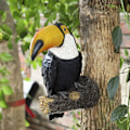 Pikkukuva 2 / 5: Toucan-puutarhapuun koriste hartsista, kevään ulkokoristeet, simulaatioveistos puun riipus, syksyn puutarhataiteen maisemakoriste terassille, pihalle, nurmikolle ja seinälle