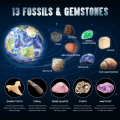 Miniatyrbillede 4 af 5: Solsystemets Gemstone Dig Kit - Grav 13 Ædelstene, Stene og Fossiler -