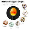 Miniatyrbillede 3 af 5: LED Æg Lygte Tester Koldt Lys til Kylling Vagtel Fjerkræ Inkubator Opdrætter Rugemaskine (Blå)