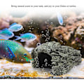 Miniatyrbilde 3 av 4: Firfisle Lizard Shelter Turtle Amphibian Fish Turtle Basting Platform Rept