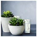 Miniatyrbillede 5 af 5: Automatisk plantevandingssystem, 20M vægesnor stærk vandabsorption selvvandende væge til haver, kurve, potter, planter