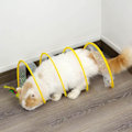Miniatyrbild 4 av 5: Spiralformad kattunnel leksak, hopfällbara husdjursleksaker, interaktiv katt munk tunnel T