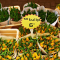 Miniatyrbilde 2 av 5: 100 stk. papiretiketter med stjerneform for salgspris