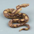 Pikkukuva 1 / 5: Realistinen Python Eläväinen Koriste Hartsimalli Patsaat