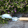Miniatyrbilde 3 av 4: Hagespade i rustfritt stål, hageplanter, solid hagespade, bærbar multifunksjonell spade for innendørs og utendørs planting, spade, trans
