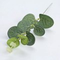Miniatyrbillede 5 af 5: 30 stk. kunstige eukalyptusblade i sølv