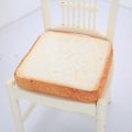 Miniatyrbilde 2 av 5: Kreativ Toast Brødskive Stil Kjæledyr Matter Kule Myk Varm Kjæledyr M