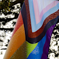 Miniatyrbilde 5 av 5: Progress Pride-flagg, regnbue i levende farger