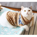 Miniatyrbild 1 av 4: Kattkläder Tröja för Kattunge Små Hundar Katter Vinter Stickad Kläder