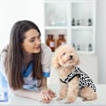 Miniatyrbillede 3 af 5: Tøj til kæledyr, T-shirt med leopardprint, Hvalpekat Bomuldsvest Beklædning
