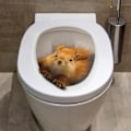 Pikkukuva 1 / 4: Orava-tarrat WC-istuimen tarrat Irrotettavat Vedenpitävät WC-istuimen tarrat kylpyhuoneeseen WC-vessaan