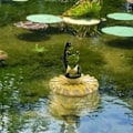 Miniatyrbillede 3 af 5: Flydende frø til havedammen - Simuleret frø til haven - R