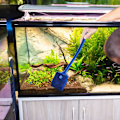 Miniatyrbilde 4 av 5: 40 cm Lang Håndtak Akvarium Rengjøringssvamp Børst 2 stk