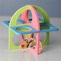 Pikkukuva 2 / 5: 2 kpl Hamsterin liikuntaleikkikalu sininen vaaleanpunainen vihreä 12,5*12,5*12,5cm