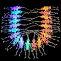 Pikkukuva 1 / 5: Suspendus Crâne Lumière Squelette Crâne Guirlande Lumineuse Hallo