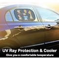 Miniatyrbillede 4 af 5: Premium solbeskyttelse fra Universal Car Sun Protection til børn