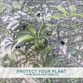 Miniatyrbilde 5 av 5: Planteposer med snøring, insektnett, finmasket grønnsaksbeskyttelsesnett mot insekter, for beskyttelse av grønnsaker, blomster og frukt