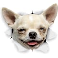 Pikkukuva 1 / 5: 3D-koiratarrat - iloinen chihuahua seinälle, jääkaappiin, vessaan ja muualle
