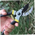 Miniatyrbillede 3 af 5: 5 stk. Udskiftningsfjedre til havesaks i rustfrit stål, volutfjeder, udskiftningsfjeder til vin, træ og havesakse
