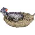 Miniatyrbild 1 av 5: Dinosaurie Figur Modell Leksak, Hög Simulering Dinosaurie Cub Modell A