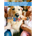 Miniatyrbillede 4 af 5: Skrigende gummi kylling hund squeaky legetøj, 8,5 tommer høj, latex tygge molar hund legetøj (pirat)