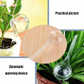 Miniatyrbild 4 av 5: Automatiska bevattningslökar Blomma Vatten Droppbevattning Enhet Vattenglober Självbevattningsbollar för inomhus- och utomhusväxter Transparent 13X5X5cm